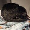 kellidawn234